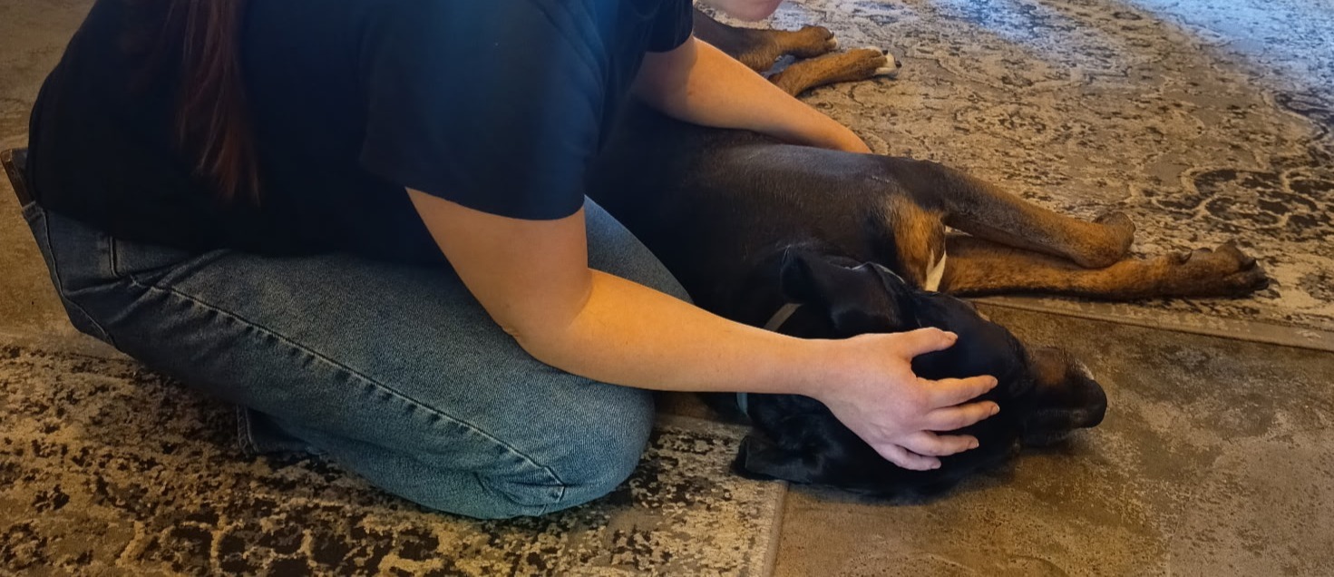 Quand consulter pour son chien ou son chat ?